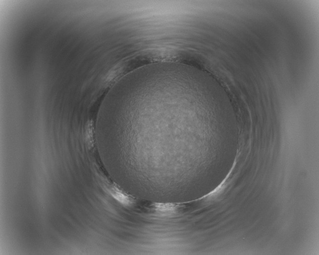 X0000067350144200604071435