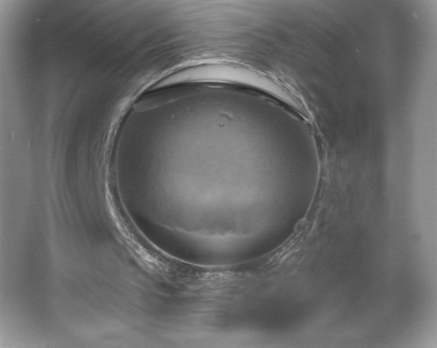 X0000067350145200604071434