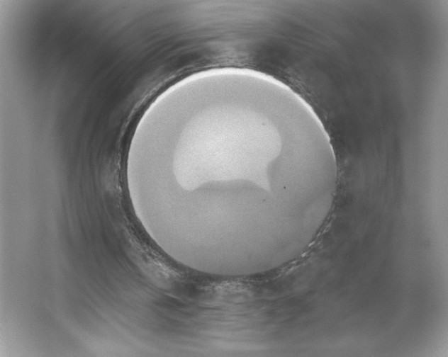 X0000067350146200604071434