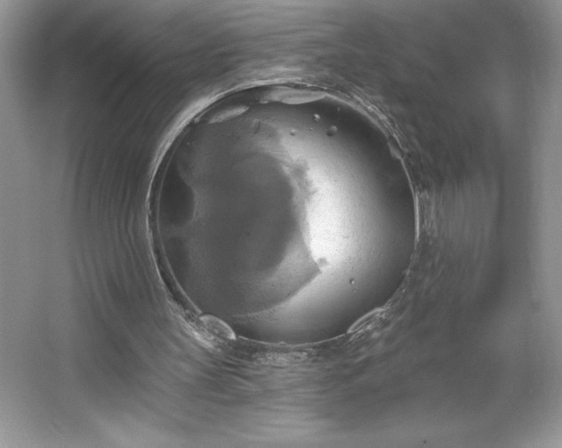 X0000067350147200604071434