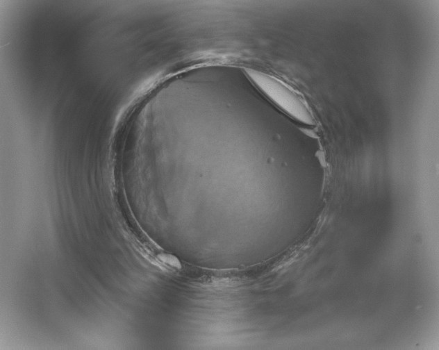 X0000067350149200604071434