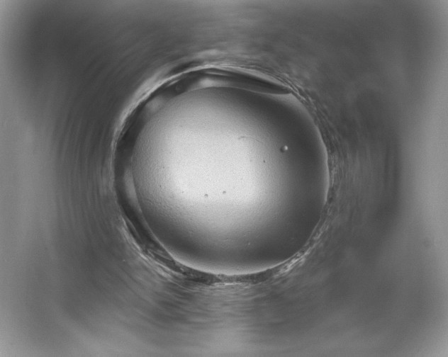 X0000067350150200604071434