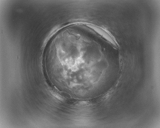 X0000067350151200604071434