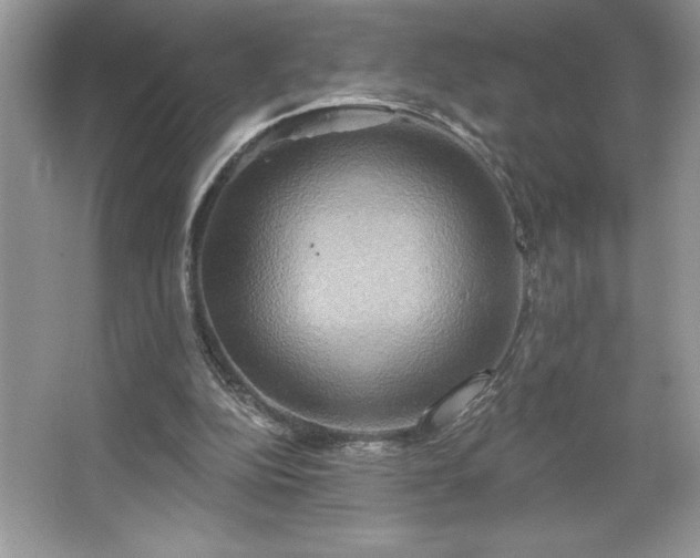 X0000067350152200604071434