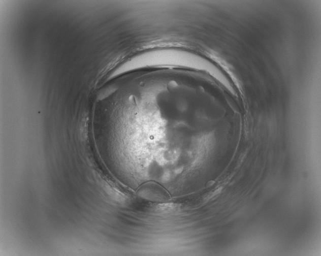 X0000067350153200604071434