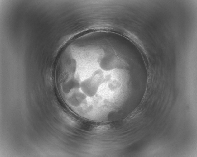 X0000067350155200604071434