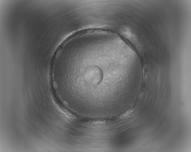 X0000067350156200604071434