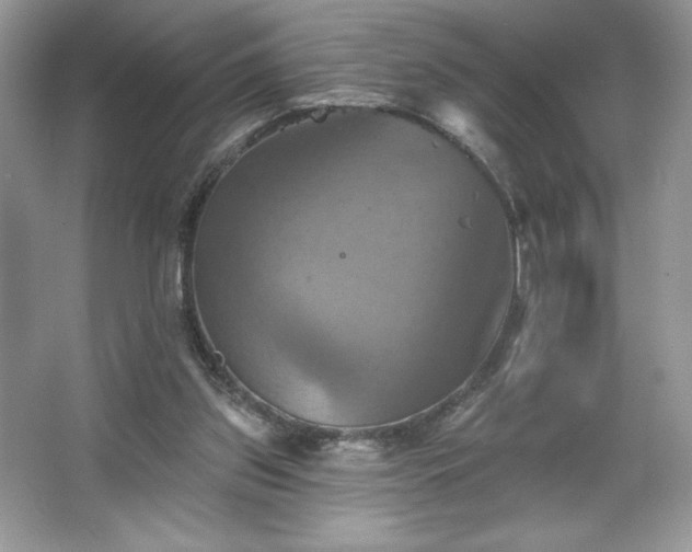 X0000067350157200604071434