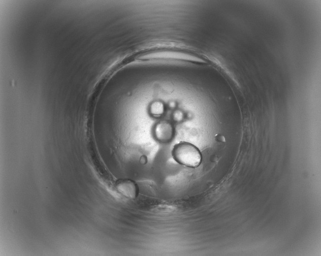 X0000067350159200604071434