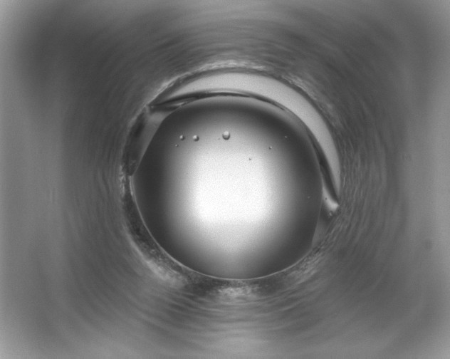 X0000067350160200604071434