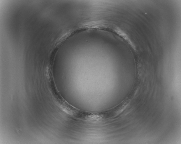 X0000067350161200604071435