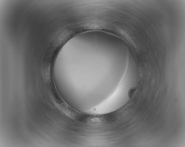 X0000067350163200604071435