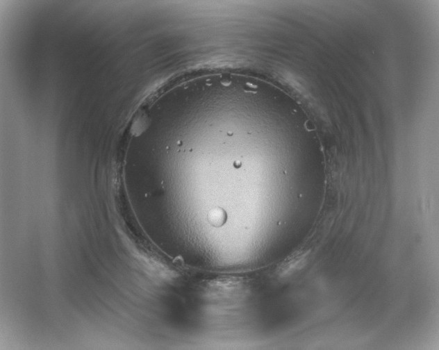 X0000067350164200604071435