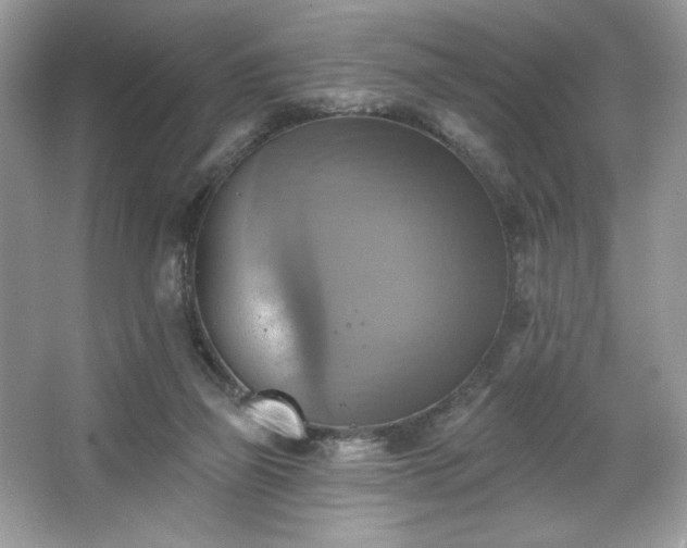 X0000067350165200604071435