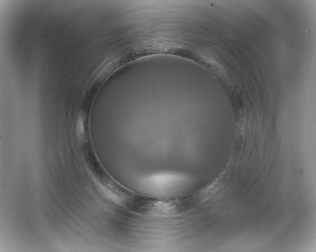 X0000067350166200604071435