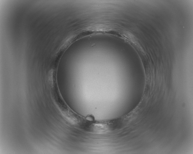 X0000067350167200604071435