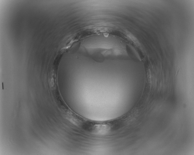 X0000067350169200604071435