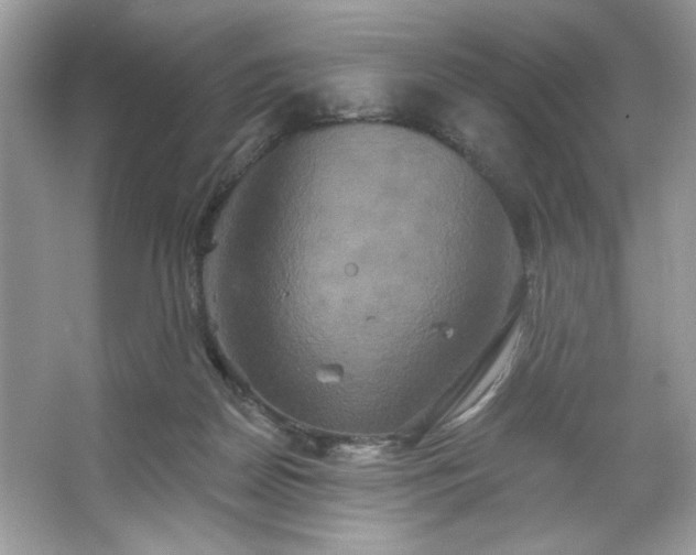 X0000067350170200604071435