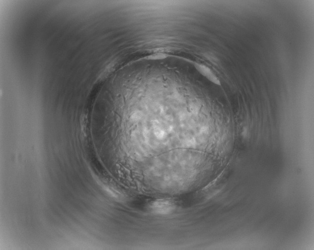 X0000067350171200604071435