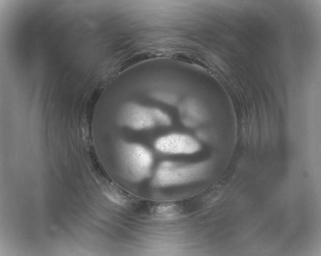 X0000067350173200604071435