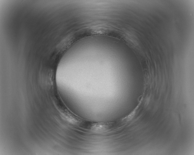 X0000067350174200604071435