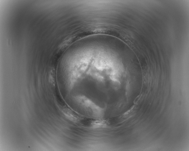 X0000067350175200604071435