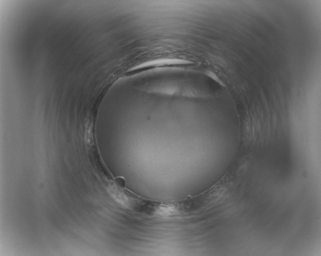 X0000067350177200604071435