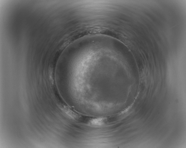 X0000067350178200604071435