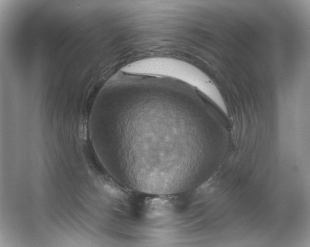 X0000067350180200604071435