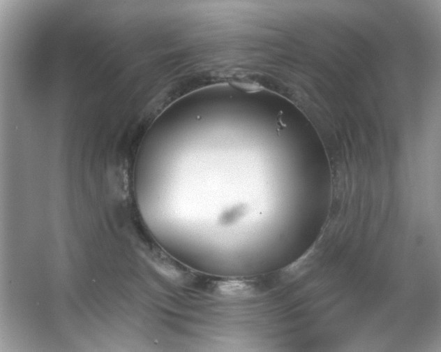 X0000067350183200604071435