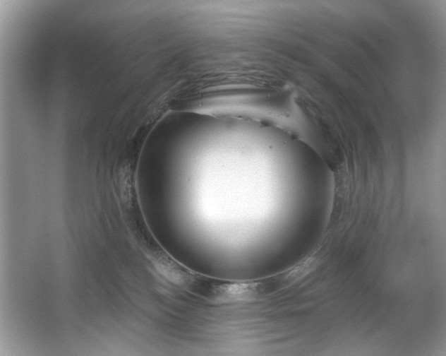 X0000067350184200604071435