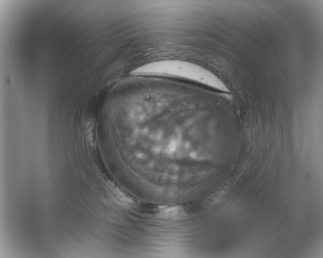 X0000067350185200604071435