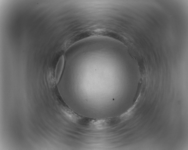 X0000067350186200604071435