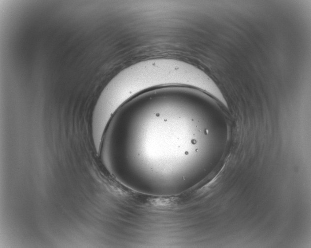 X0000067350187200604071435