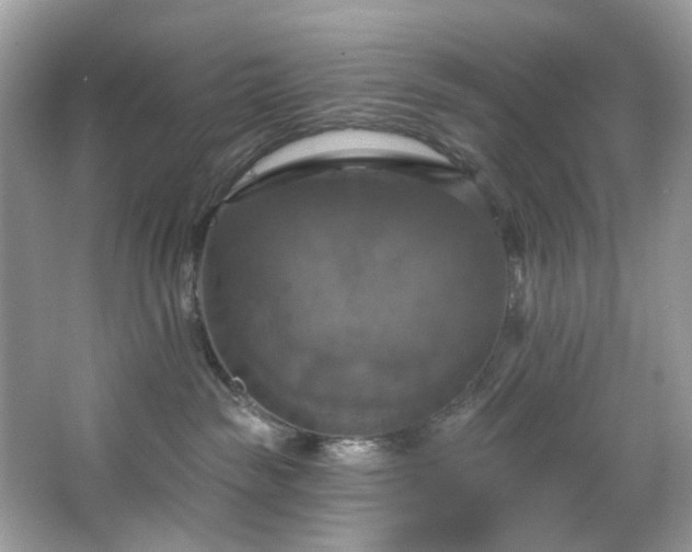 X0000067350189200604071435