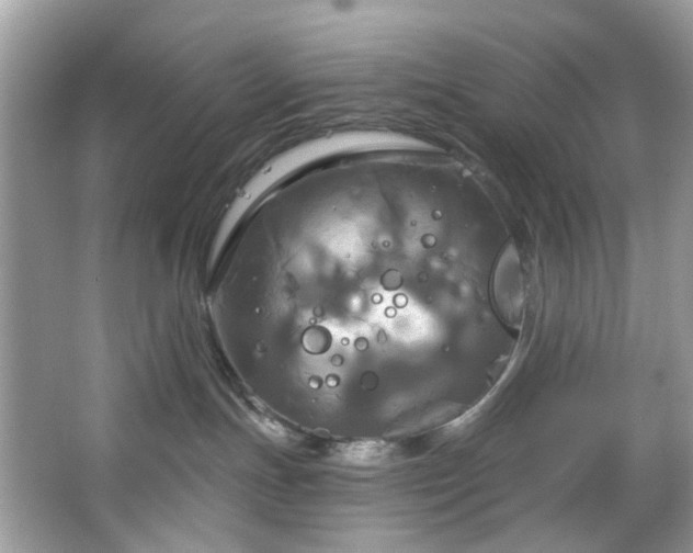 X0000067350191200604071435