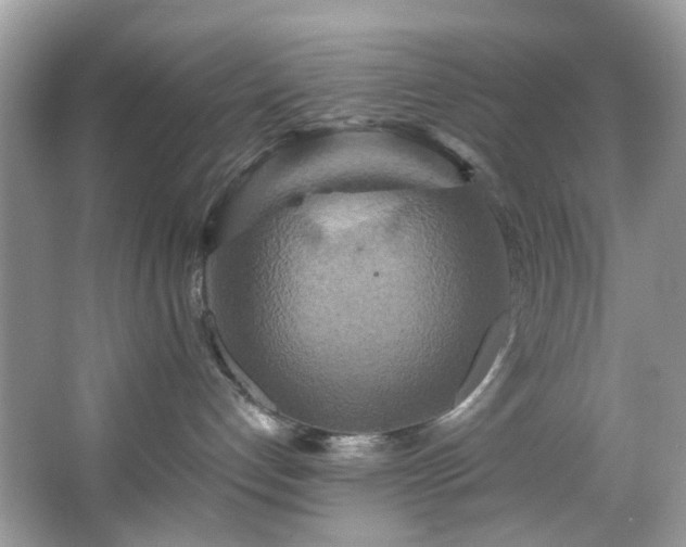 X0000067350192200604071435