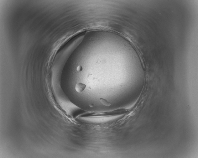 X0000067350193200604071434