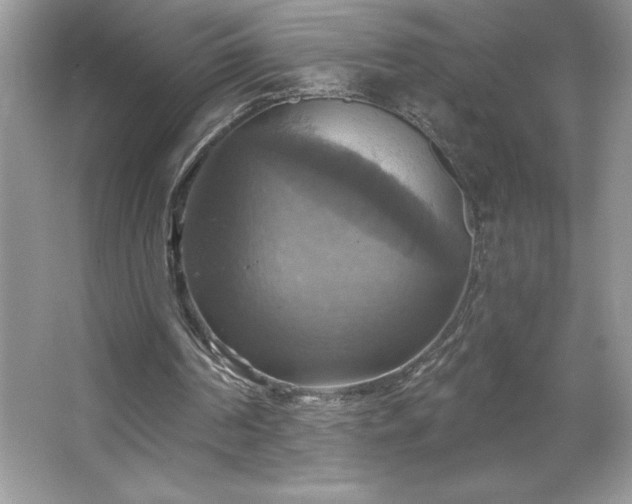 X0000067350194200604071434