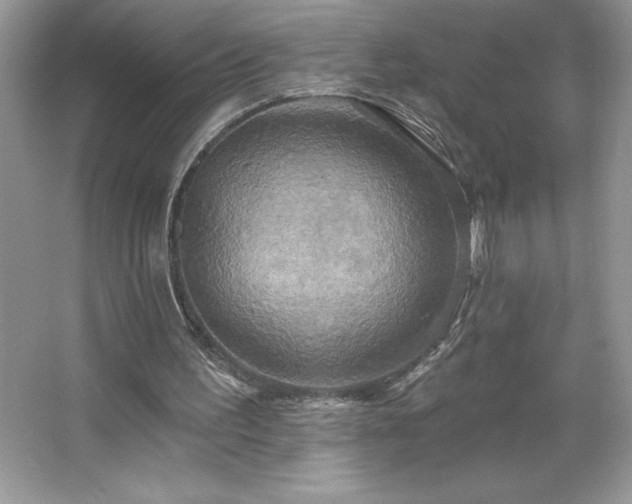 X0000067350195200604071434