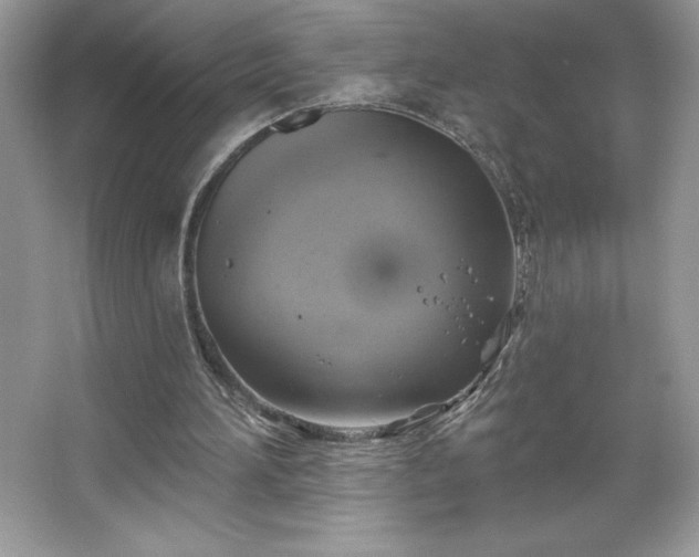 X0000067350196200604071434