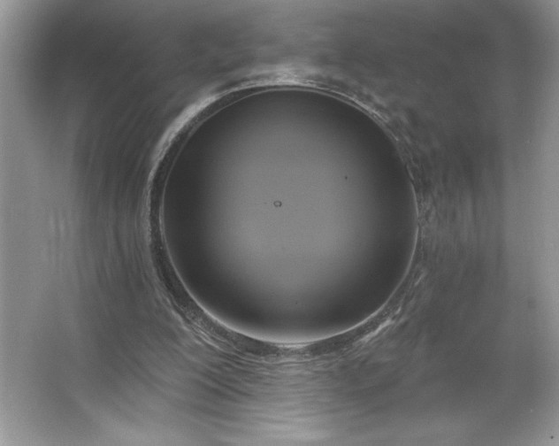 X0000067350200200604071434