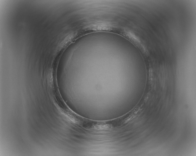 X0000067350202200604071434