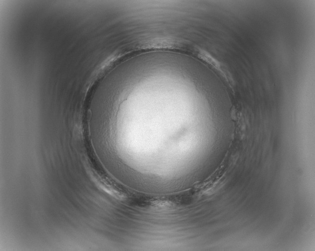 X0000067350203200604071434