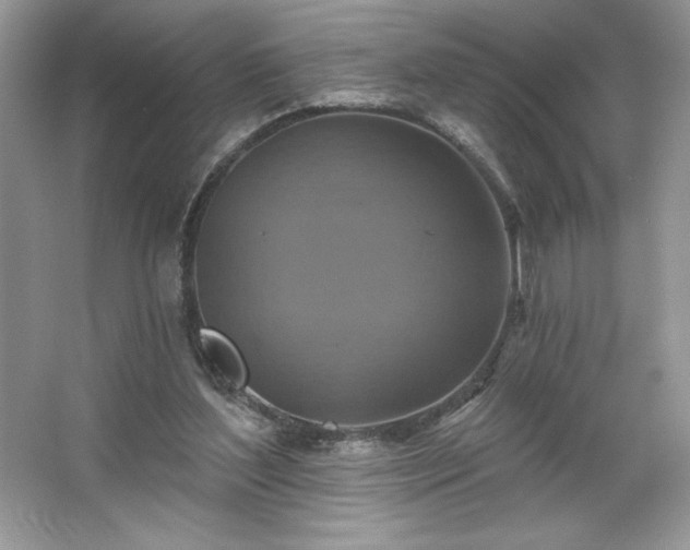 X0000067350204200604071434