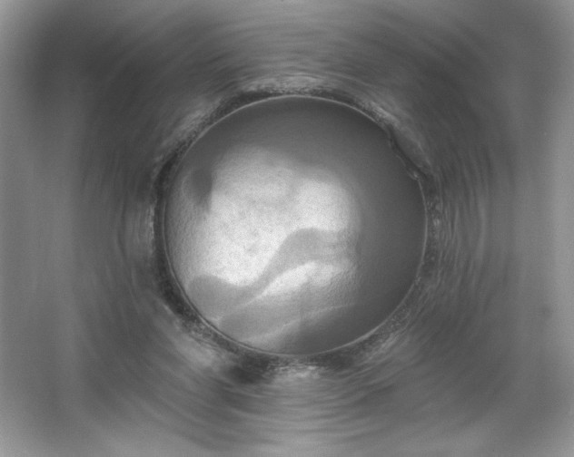 X0000067350206200604071434