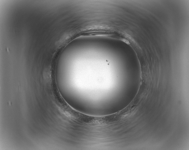 X0000067350207200604071434