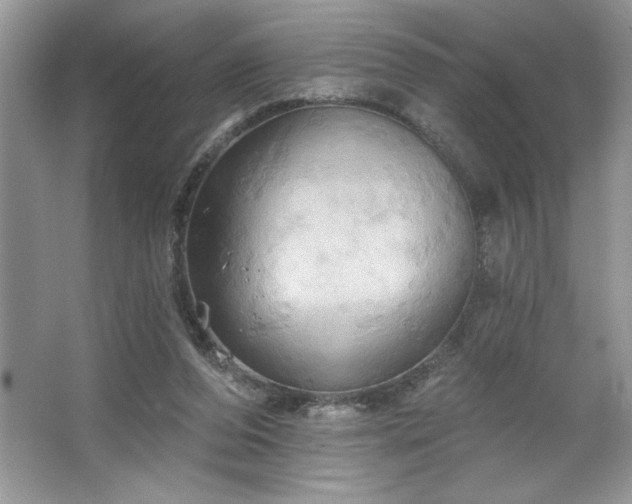 X0000067350208200604071434