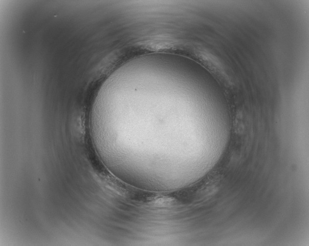 X0000067350210200604071434