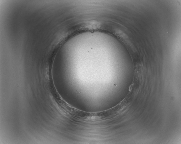 X0000067350212200604071434